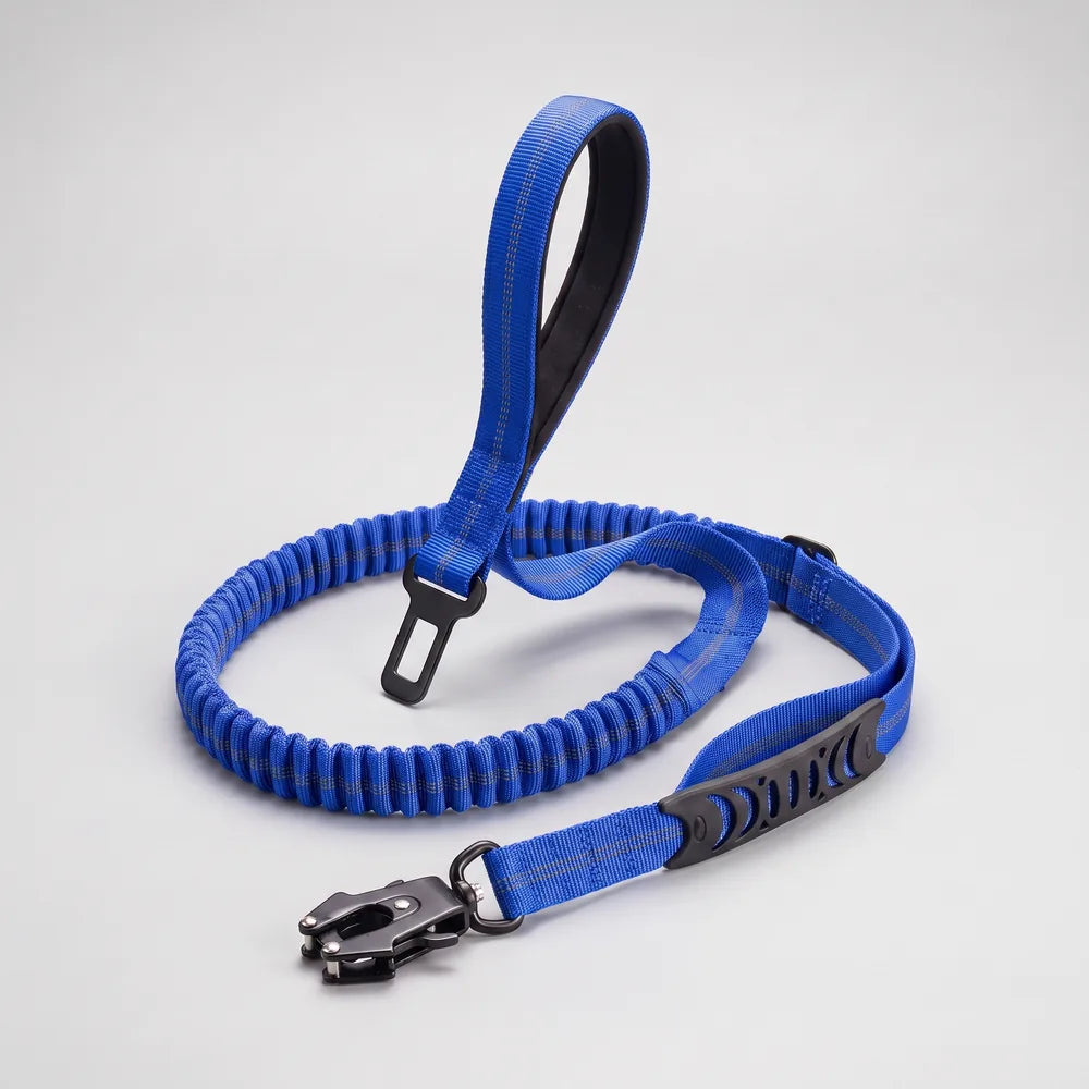 Laisse amortisseur voiture pour chien