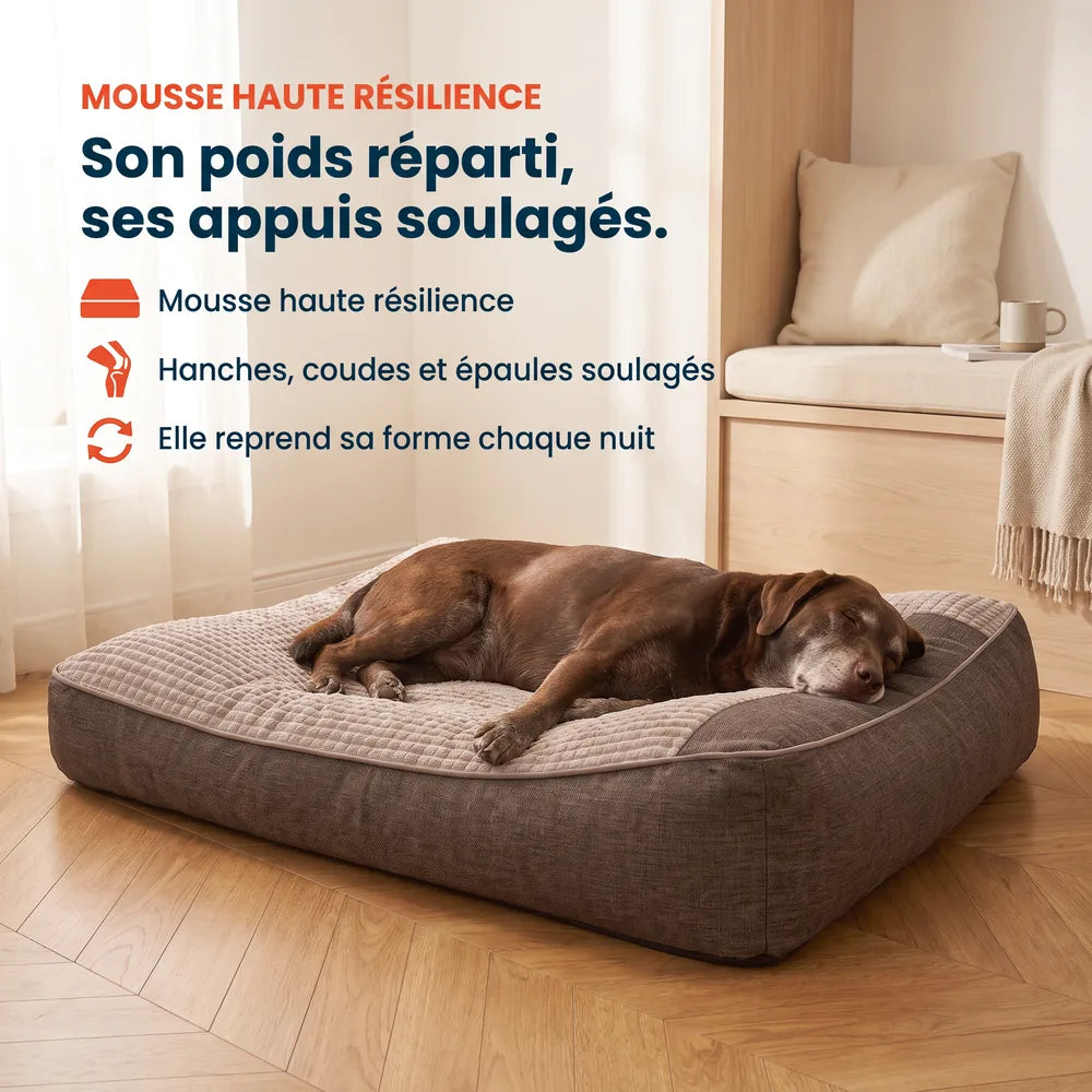 Lit pour grand chien orthopédique