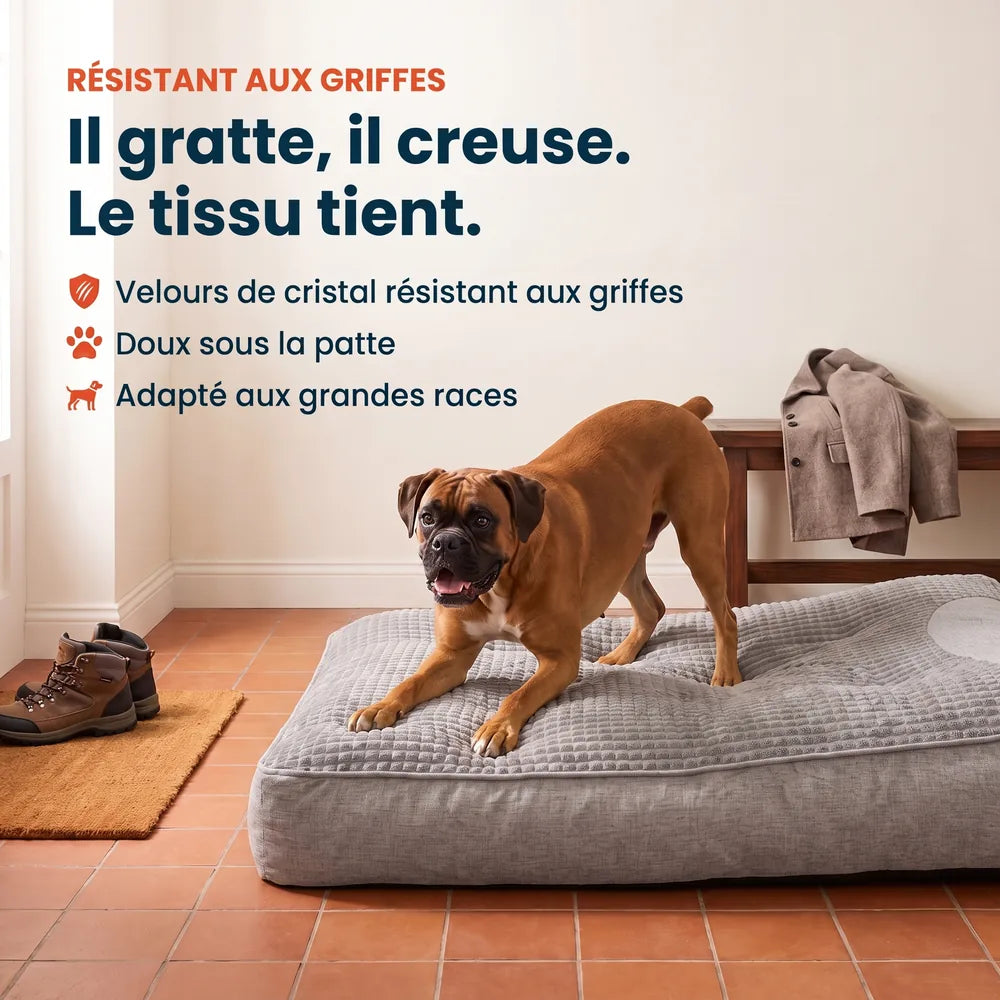 Lit pour grand chien orthopédique