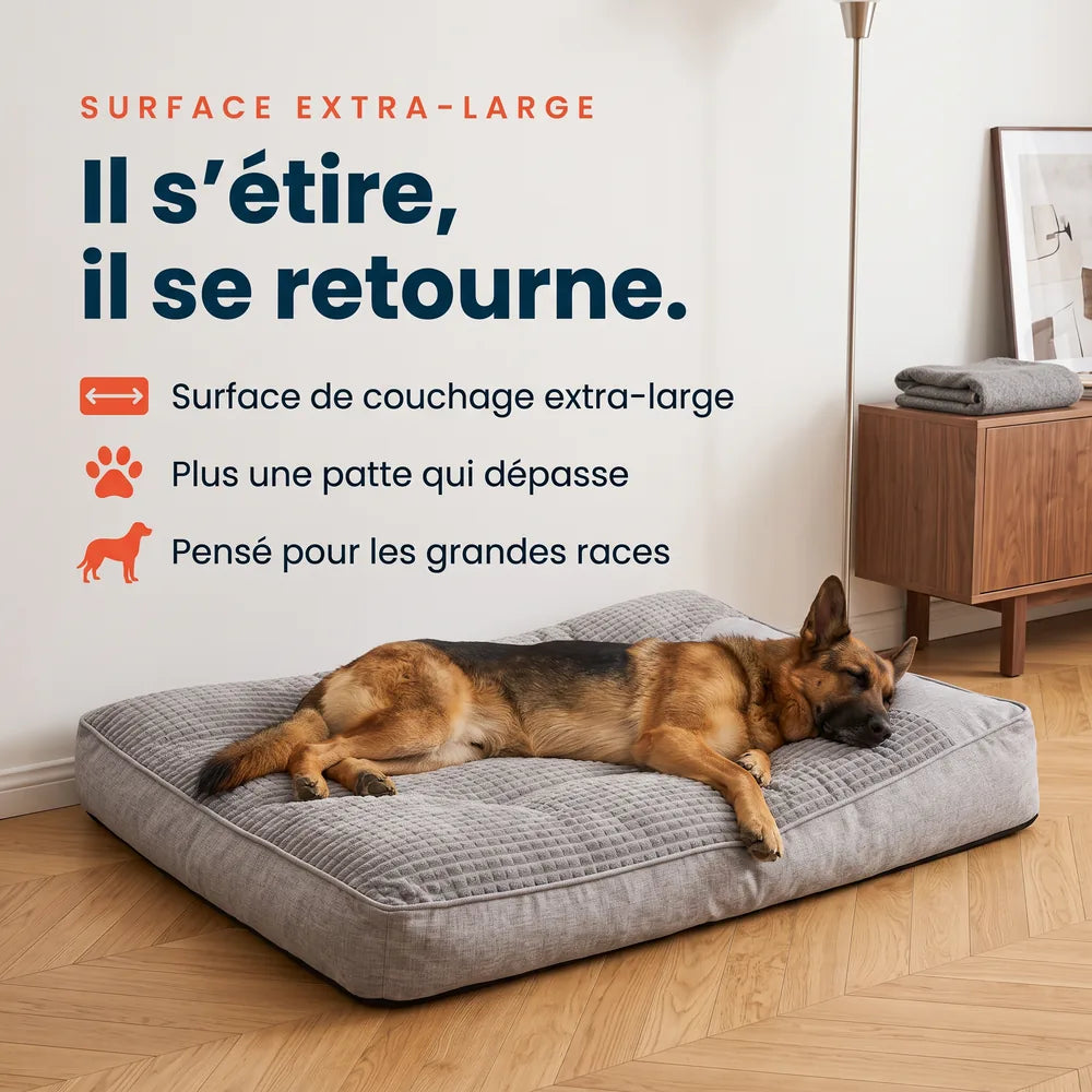 Lit pour grand chien orthopédique
