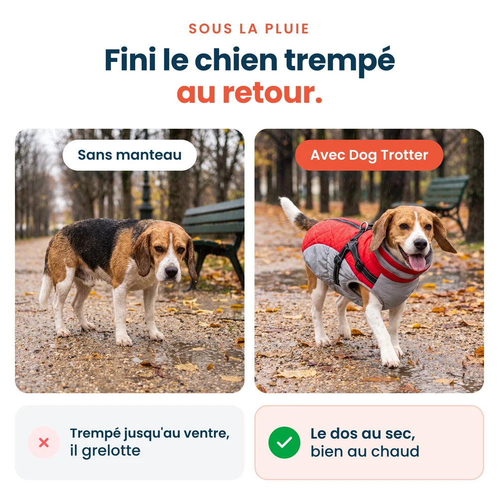 Avant et après sous la pluie : chien trempé sans manteau, dos au sec avec le manteau imperméable Dog Trotter