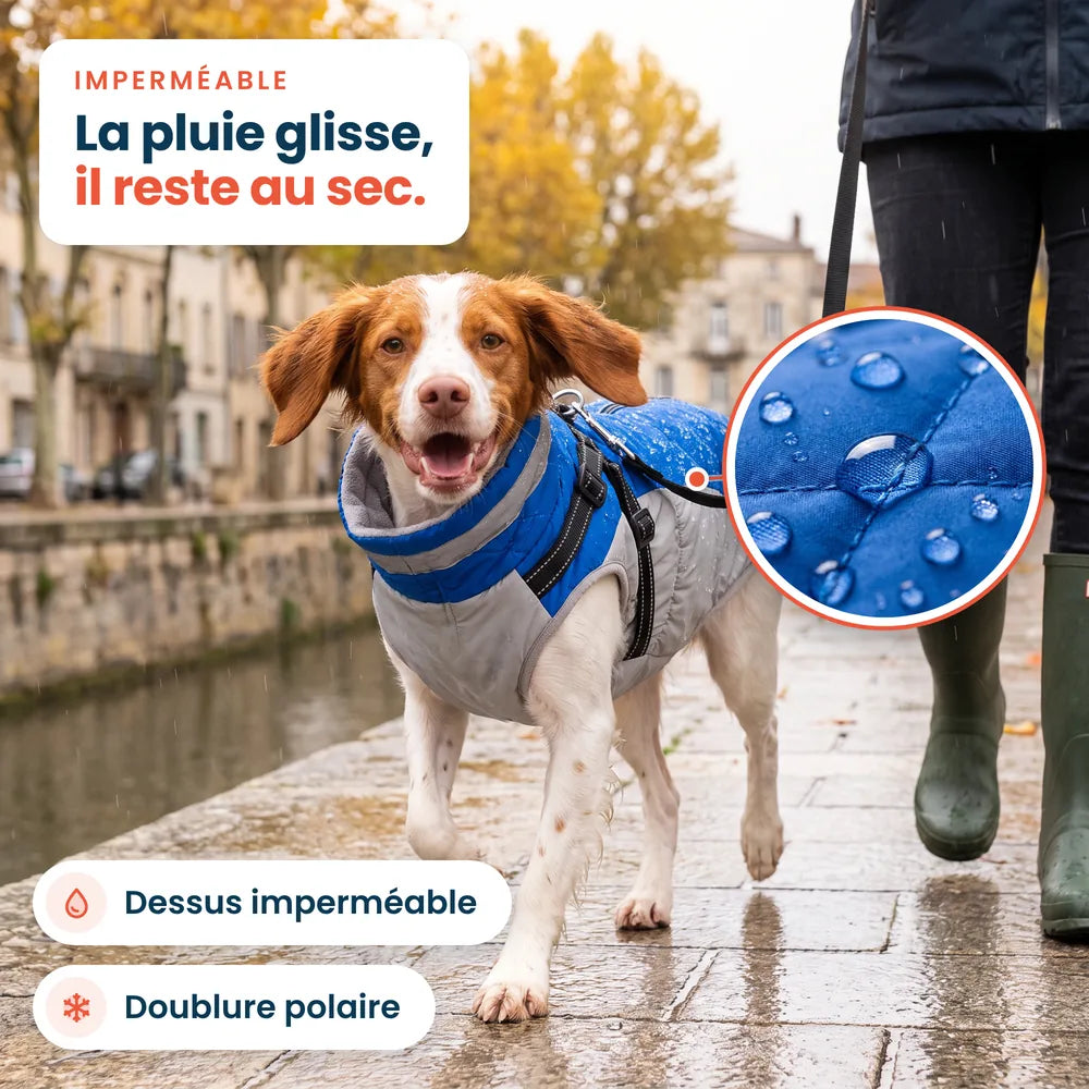 Chien en promenade sous la pluie avec un manteau imperméable bleu, l'eau perle sur le tissu