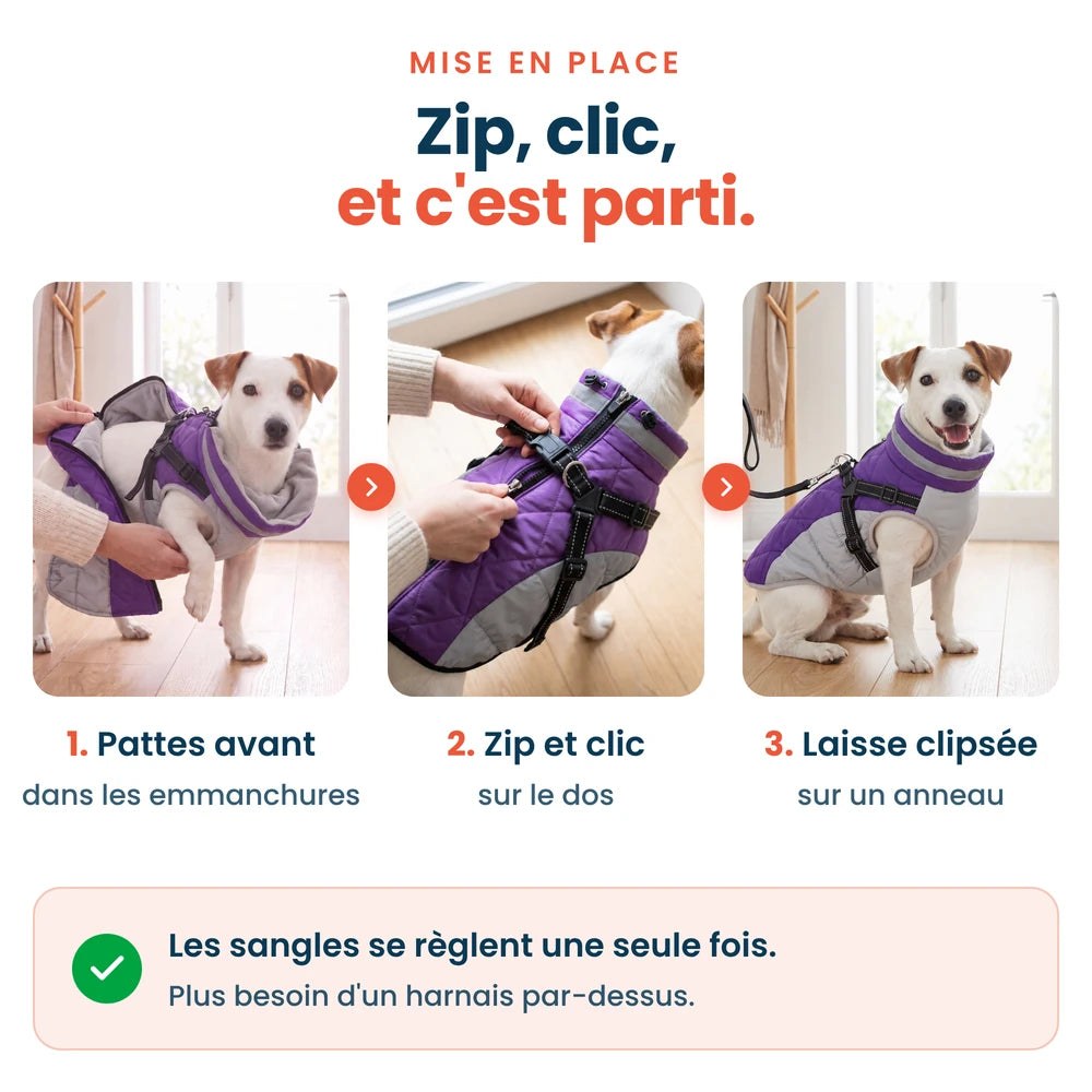 Mise en place du manteau pour chien en 3 étapes : pattes avant dans les emmanchures, zip et clic sur le dos, laisse clipsée