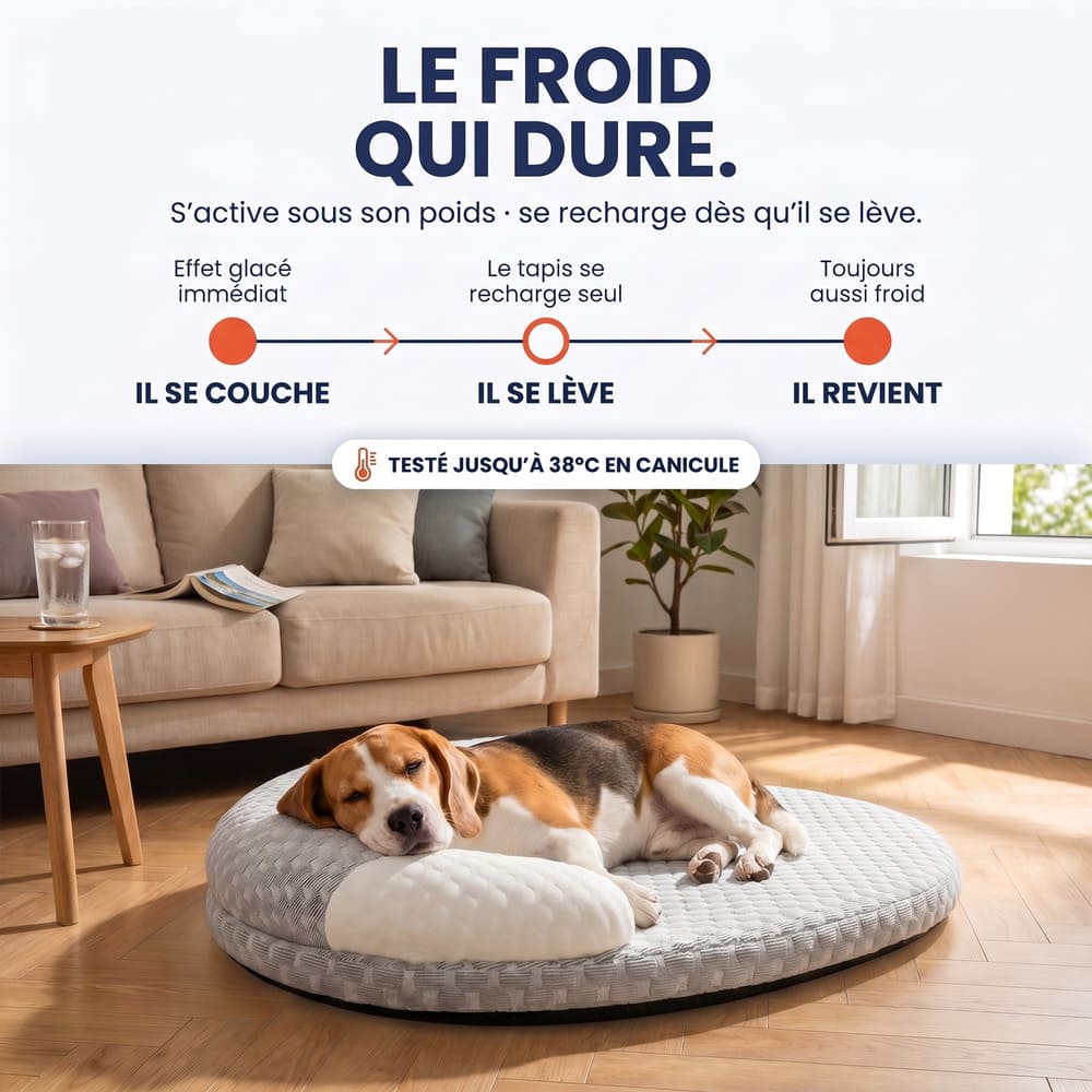 Matelas rafraîchissant pour chien