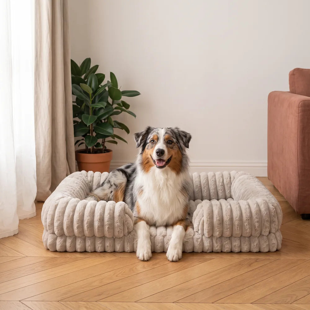 Panier orthopédique pour chien