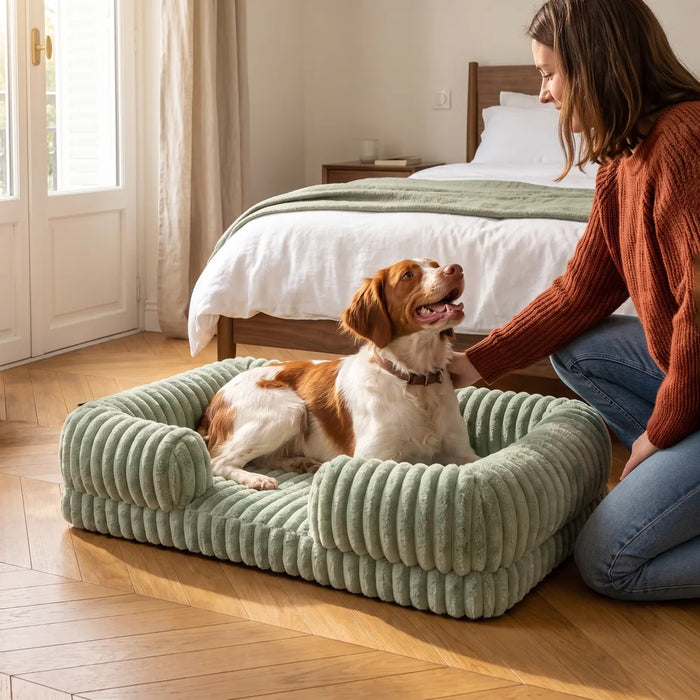 Couchage et confort