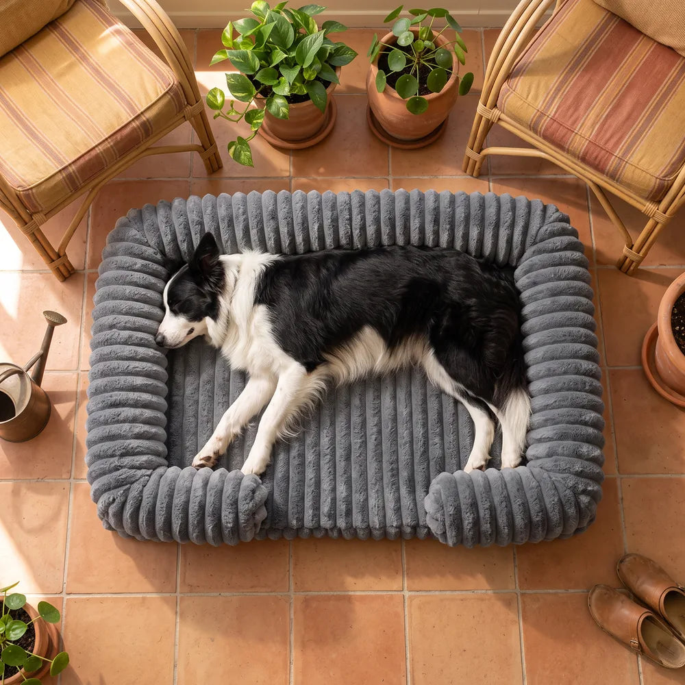 Panier orthopédique pour chien en velours côtelé