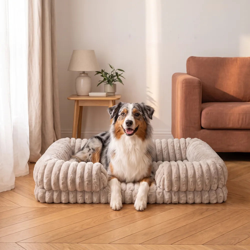 panier orthopédique pour chien