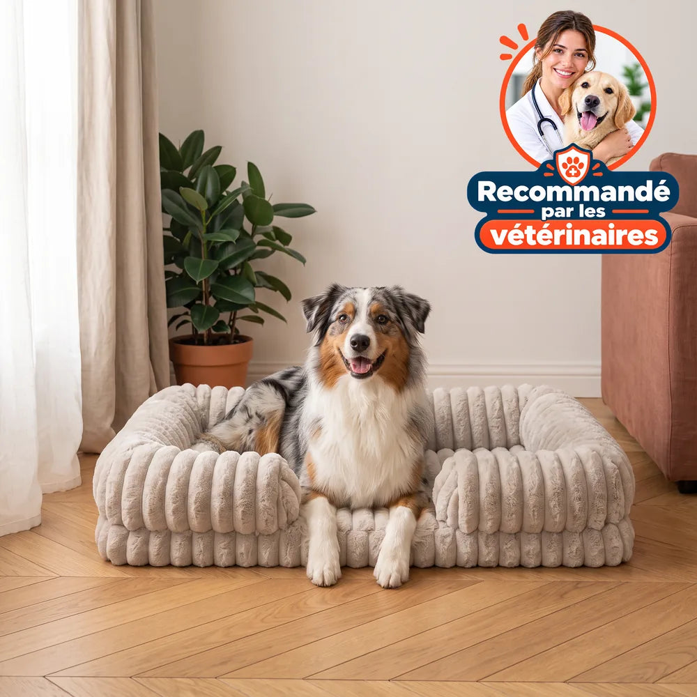 Panier orthopédique pour chien