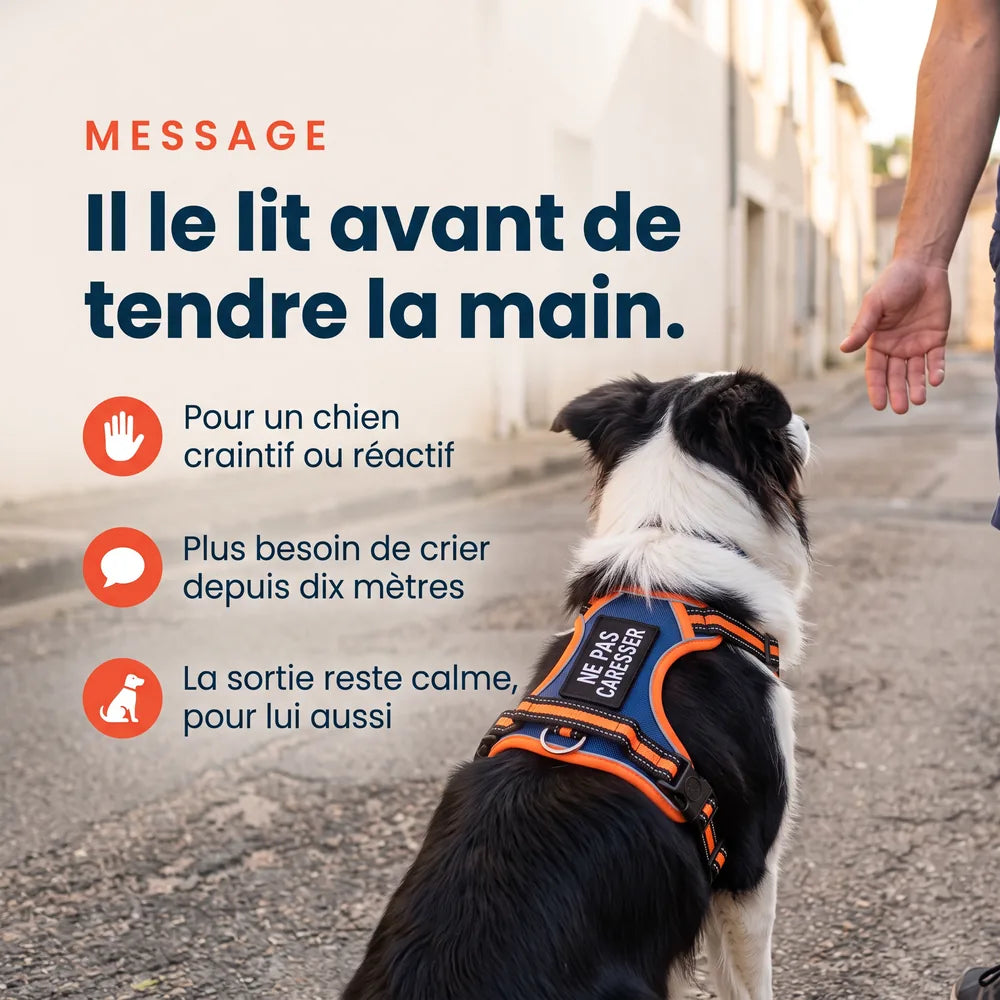 Patch brodé personnalisable pour chien