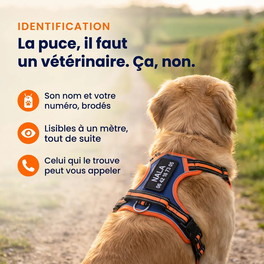 Harnais anti-traction en Y pour chien