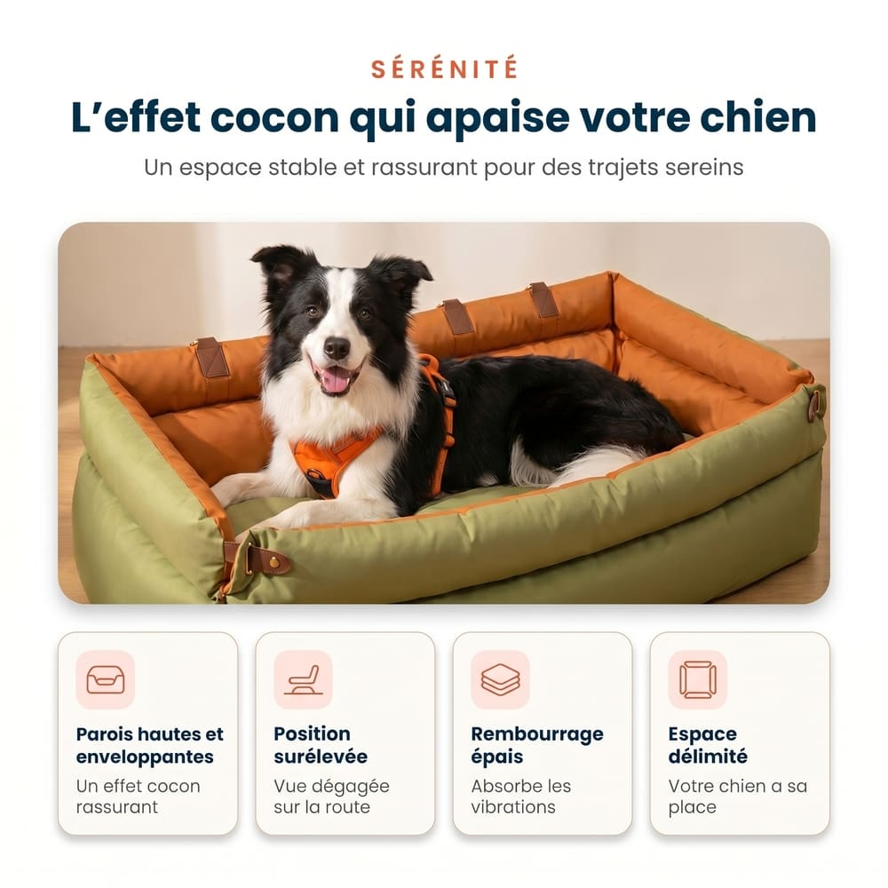 Siège auto pour grand chien