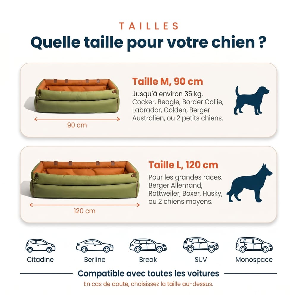 Siège auto pour grand chien