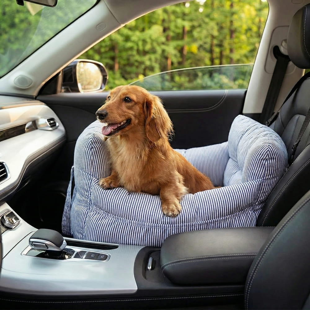 Siège voiture petit chien rayé