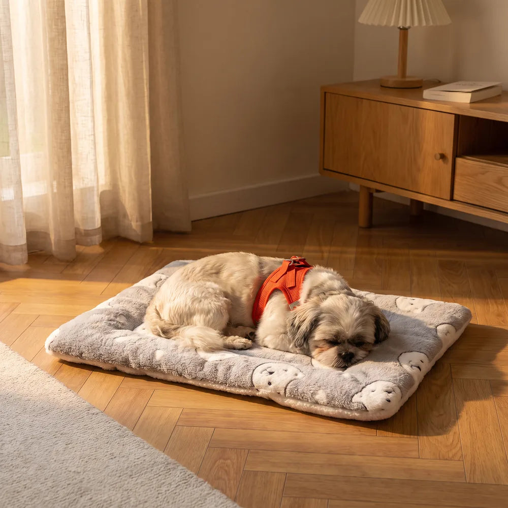 Tapis de couchage pour chien