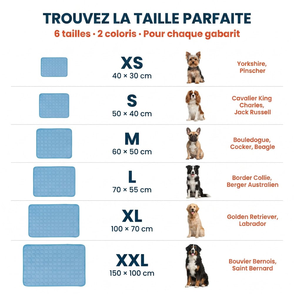 Tapis rafraîchissant pour chien